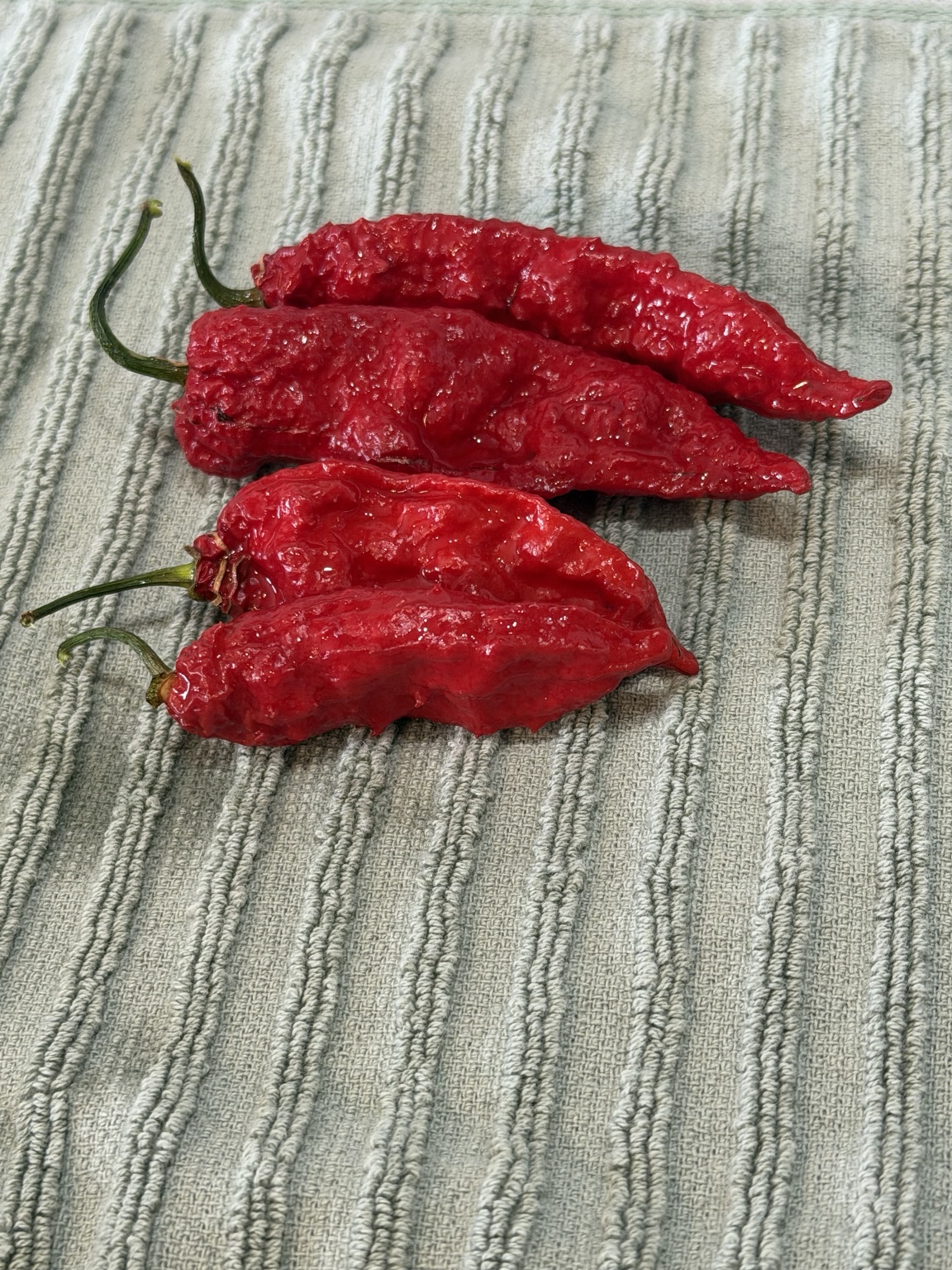 🧺 Fresh Harvest photo