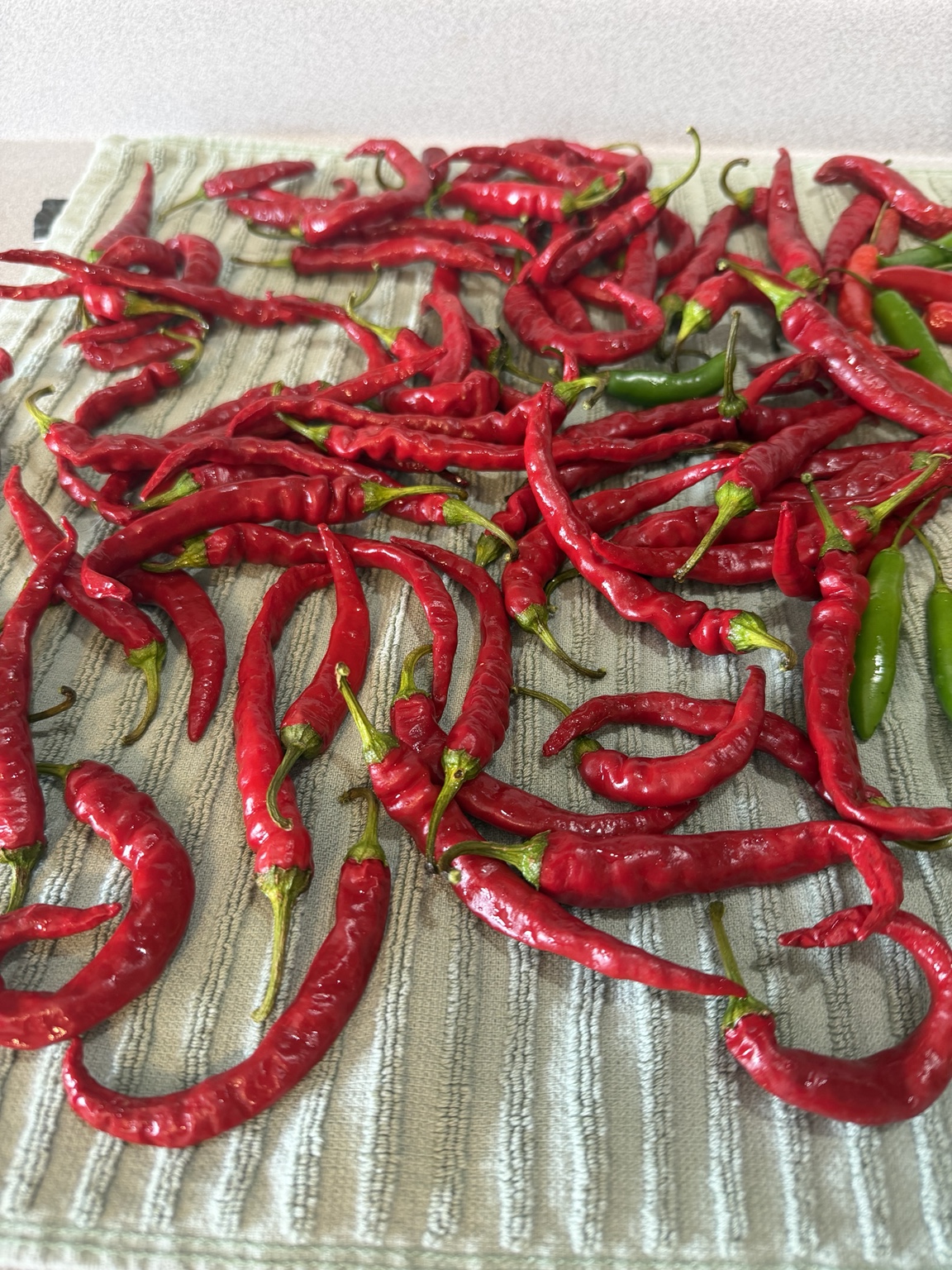 🧺 Fresh Harvest photo
