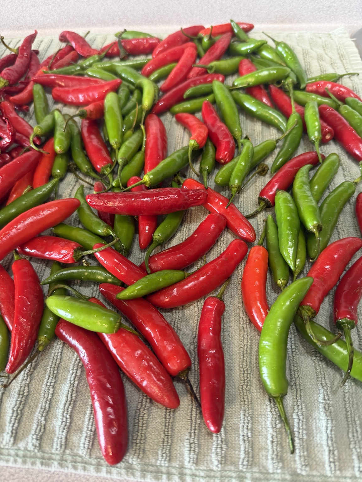 🧺 Fresh Harvest photo
