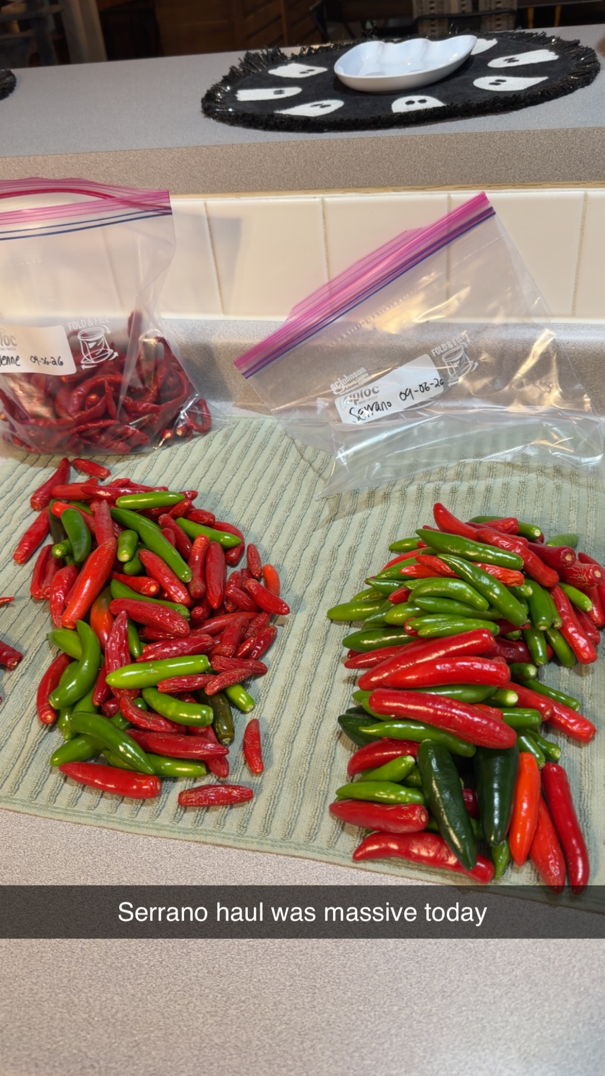 🧺 Fresh Harvest photo