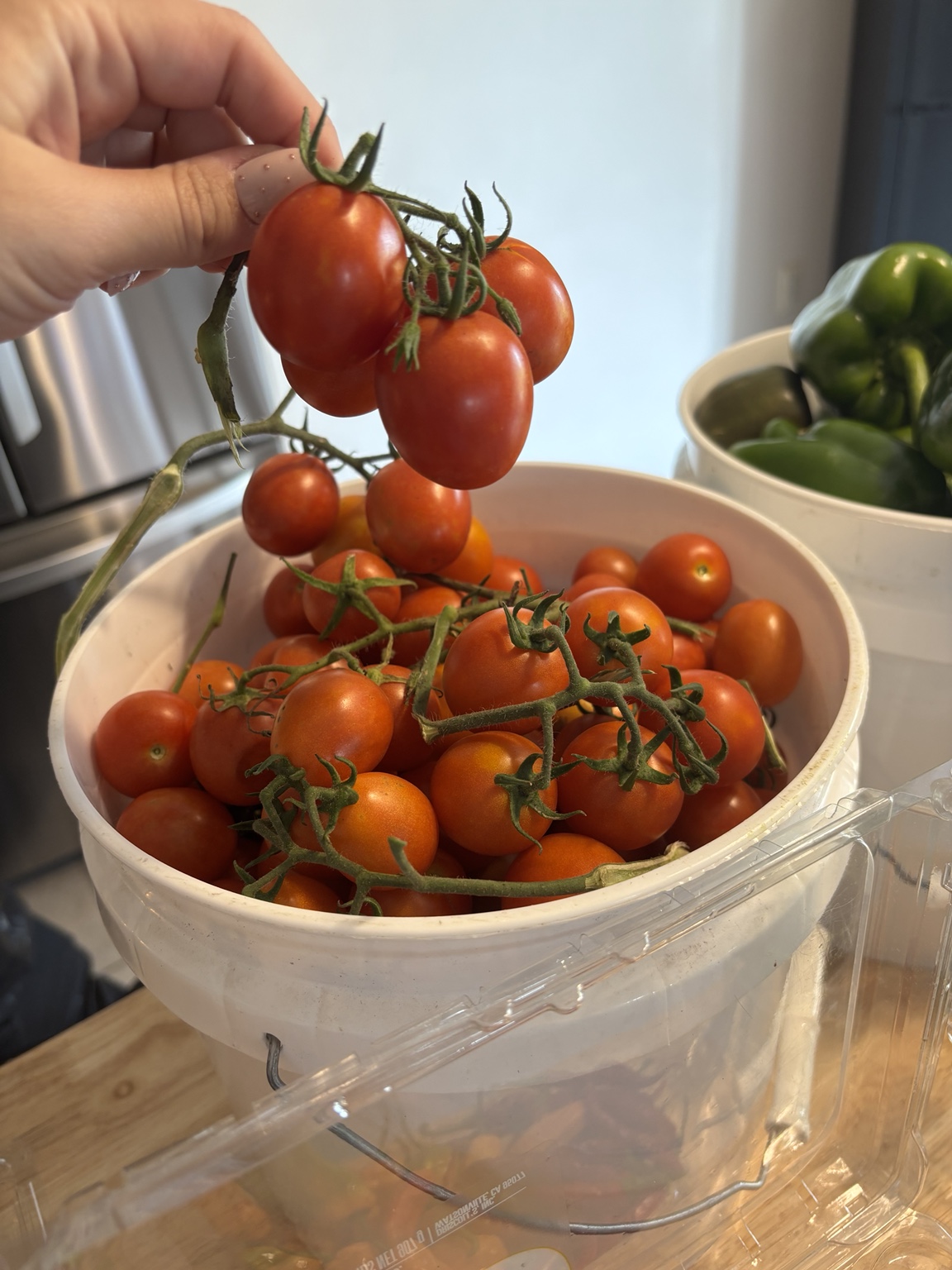 🧺 Fresh Harvest photo