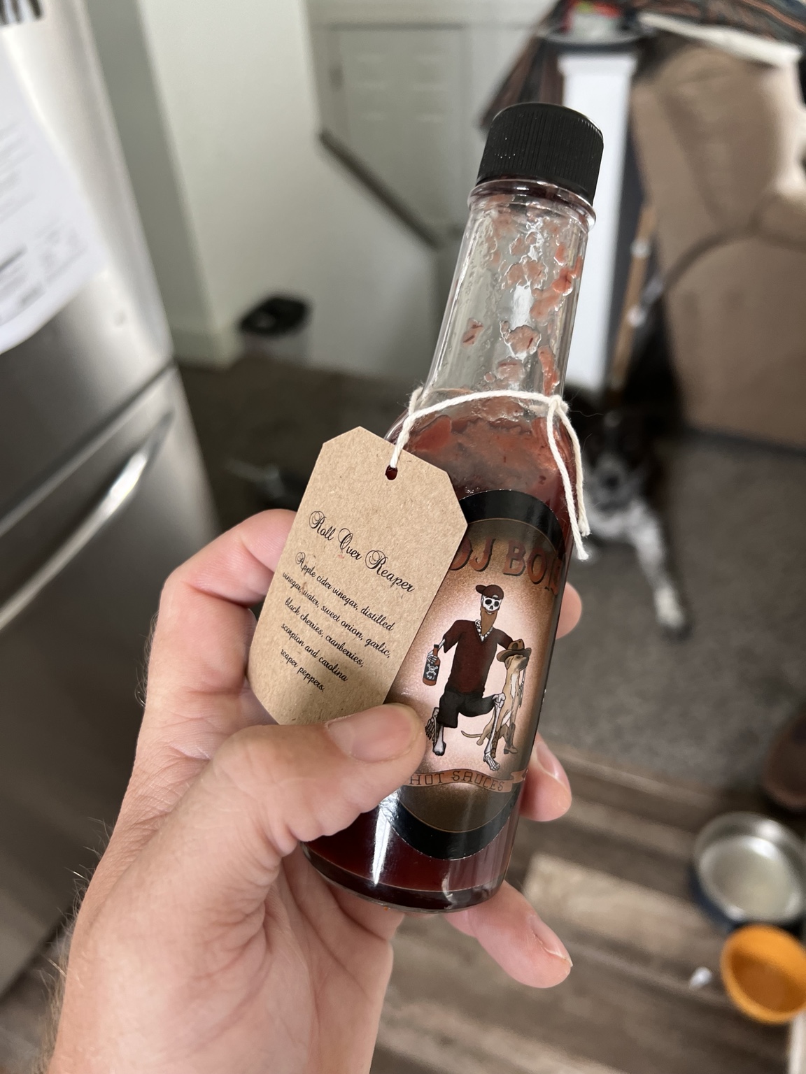 🌶️ Into the Bottle photo
