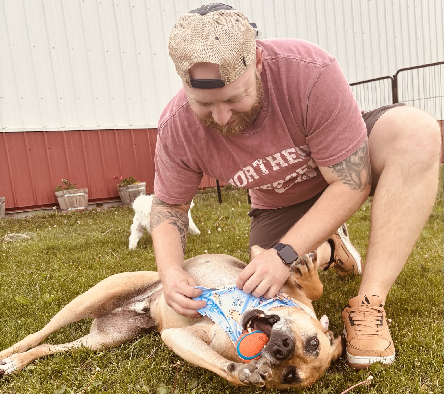 Brad and Rollo playing together